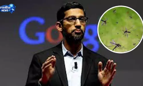US में 64 मिलियन मच्छर छोड़ने की योजना पर चर्चा US में 64 मिलियन मच्छर छोड़ने की योजना पर चर्चा