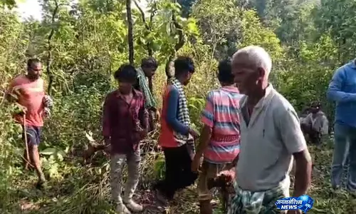 Odisha: मयूरभंज जंगल में बाघ का हमला, ग्रामीण की मौत Odisha: मयूरभंज जंगल में बाघ का हमला, ग्रामीण की मौत