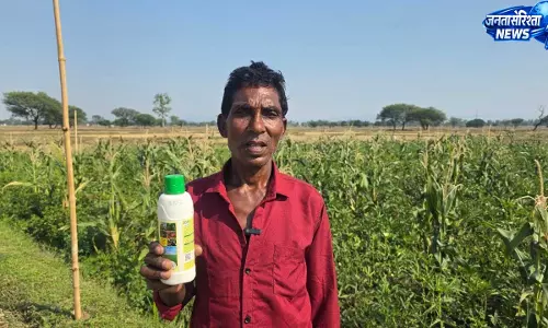 नैनो यूरिया उपयोग में आसान,समय और लागत की हो रही भारी बचत