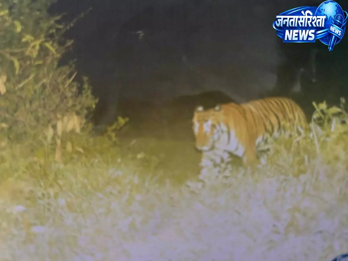 Assam: गैंडे और रॉयल बंगाल टाइगर के दिखने से मेडेला वन क्षेत्र के संरक्षण पर जोर Assam: गैंडे और रॉयल बंगाल टाइगर के दिखने से मेडेला वन क्षेत्र के संरक्षण पर जोर