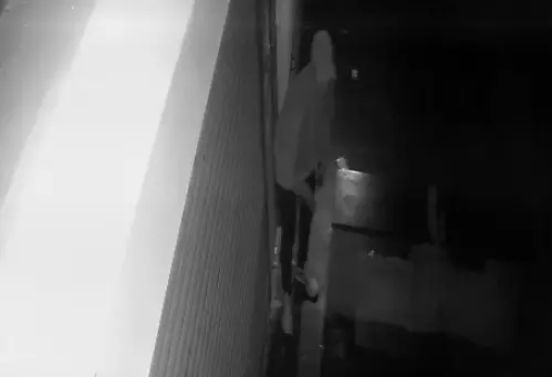 दवाई दुकानों में चोरी, CCTV में नकाबपोश कैद दवाई दुकानों में चोरी, CCTV में नकाबपोश कैद