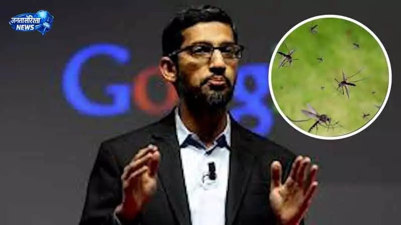 US में 64 मिलियन मच्छर छोड़ने की योजना पर चर्चा US में 64 मिलियन मच्छर छोड़ने की योजना पर चर्चा