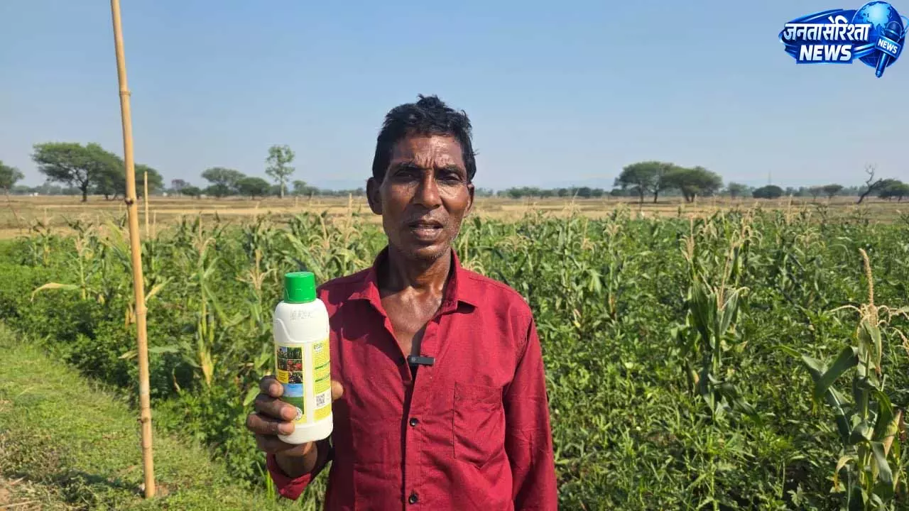 नैनो यूरिया उपयोग में आसान,समय और लागत की हो रही भारी बचत नैनो यूरिया उपयोग में आसान,समय और लागत की हो रही भारी बचत