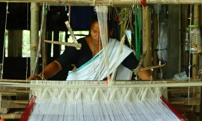 Assam: काजीरंगा के सामुदायिक उत्पाद वैश्विक, अब अमेज़न और GeM पर उपलब्ध