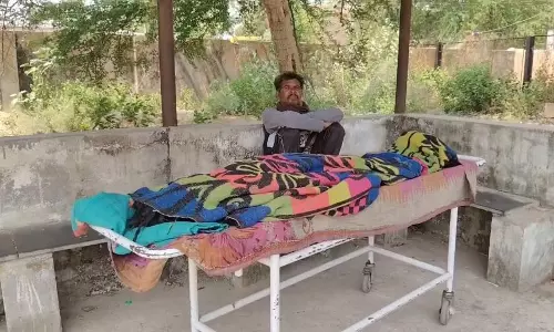 महिला की मौत, मधुमक्खियों ने काटा