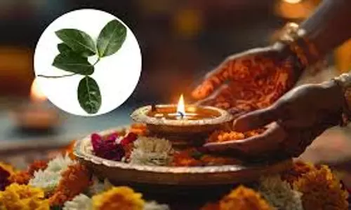 हर पूजा में नहीं चढ़ाया जाता बरगद का पत्ता, जानिए किन देवी-देवताओं के लिए है वर्जित