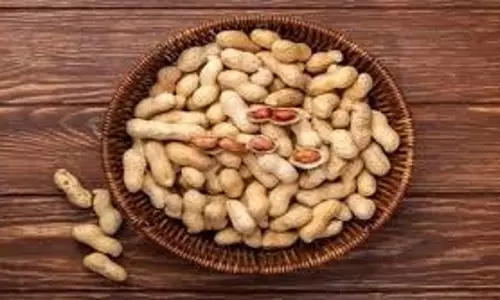 मूंगफली से शुगर कंट्रोल? क्या वास्तव में डायबिटीज के मरीज के लिए सुरक्षित है मूंगफली से शुगर कंट्रोल? क्या वास्तव में डायबिटीज के मरीज के लिए सुरक्षित है