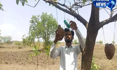 मानवता और प्रकृति का अनोखा संगम: पक्षियों के लिए 25 किमी दूर पहुंचा कर्नाटक का युवक मानवता और प्रकृति का अनोखा संगम: पक्षियों के लिए 25 किमी दूर पहुंचा कर्नाटक का युवक