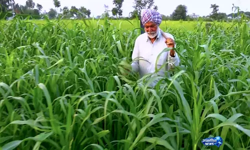 खेतों से डिजिटल इंडिया तक: समावेशी विकास की एक कहानी