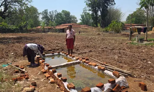 खेत बचाओ अभियान : नील हरित शैवाल से मिट्टी की सेहत संवार रहे लब्जी नावापारा के किसान धनेश्वर प्रसाद