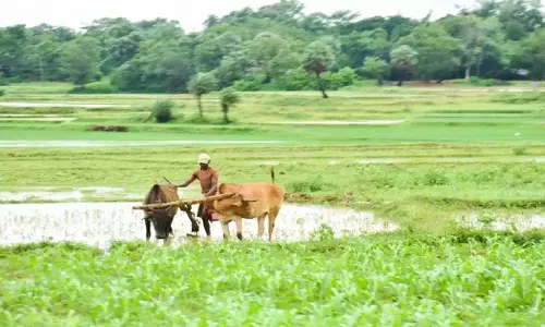 महाराष्ट्र में किसानों के लिए बड़ी राहत, 2 लाख तक का कृषि ऋण माफ