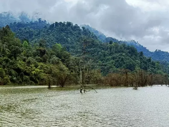 Itanagar: एसएलएचईपी पीएएफ ने दोबारा सर्वे और बदले हुए मुआवज़े की मांग Itanagar: एसएलएचईपी पीएएफ ने दोबारा सर्वे और बदले हुए मुआवज़े की मांग