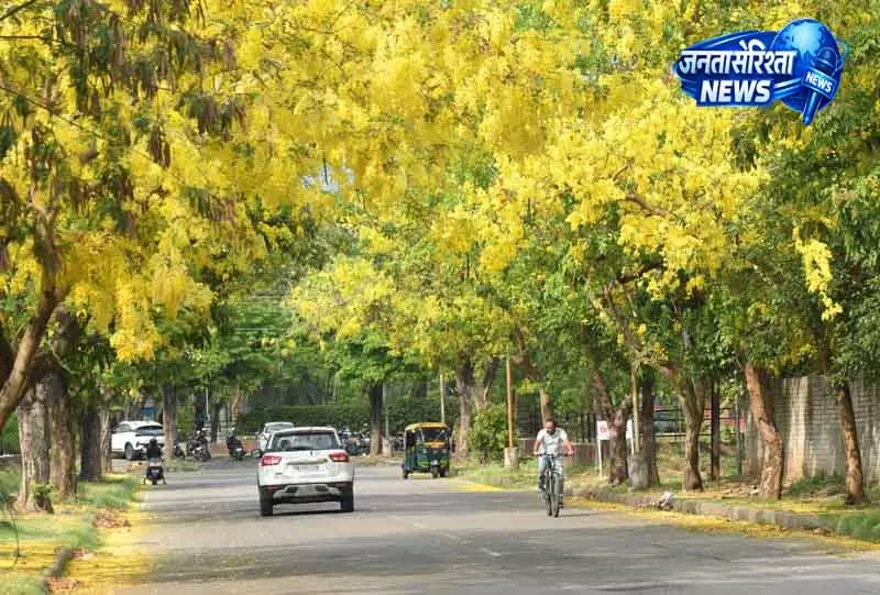 Punjab-हरियाणा-चंडीगढ़ में ऑरेंज अलर्ट जारी Punjab-हरियाणा-चंडीगढ़ में ऑरेंज अलर्ट जारी