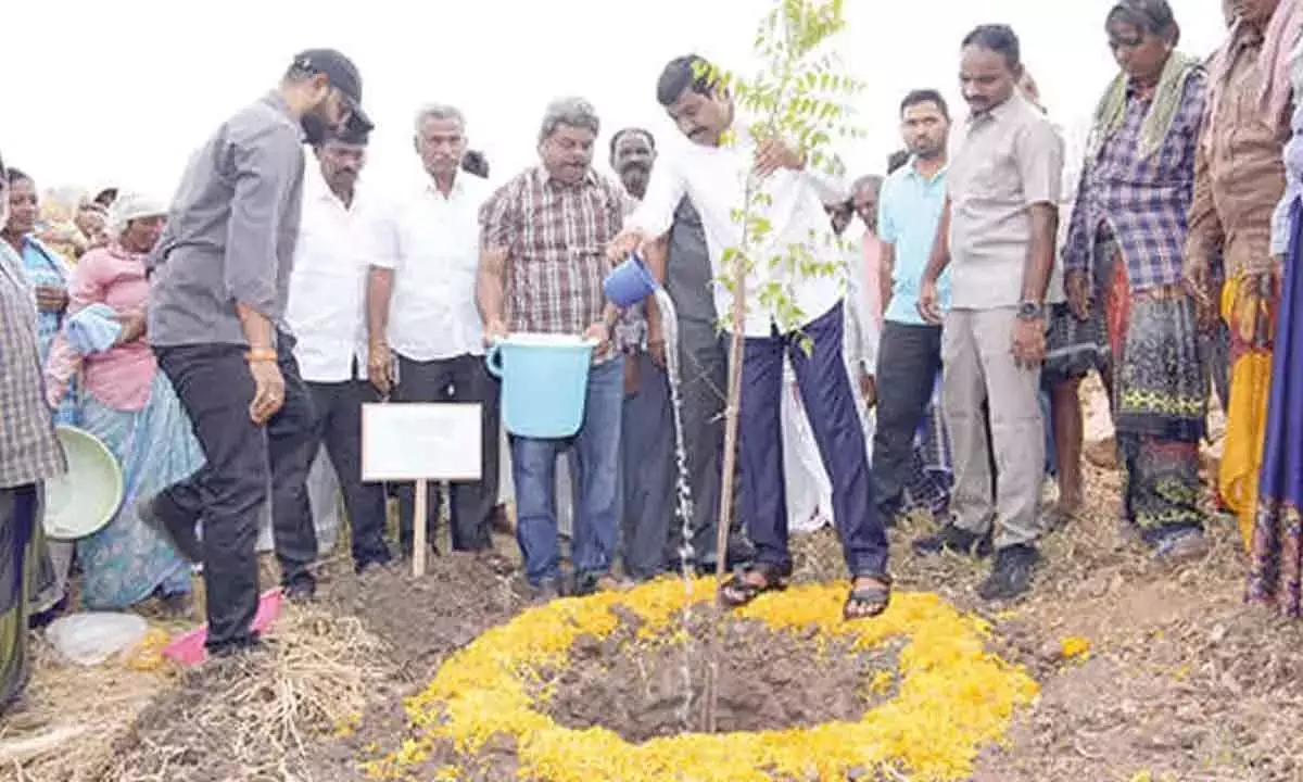 Andhra: मंत्री जनार्दन ने विश्व पर्यावरण दिवस पर ग्रीन ड्राइव की शुरुआत की Andhra: मंत्री जनार्दन ने विश्व पर्यावरण दिवस पर ग्रीन ड्राइव की शुरुआत की