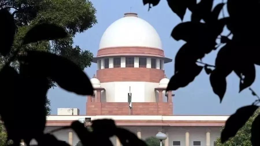 SC ने कहा, ड्रग्स का धंधा करने वालों के खिलाफ सख्ती जरूरी, याचिका खारिज SC ने कहा, ड्रग्स का धंधा करने वालों के खिलाफ सख्ती जरूरी, याचिका खारिज