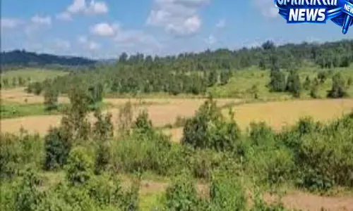 Meghalaya : सीमा विवाद पर बातचीत जारी, लपांगप में कृषि गतिविधियों को जारी रखने का फैसला