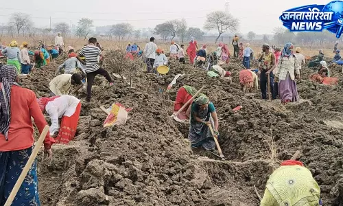 मनरेगा से दुर्ग जिले की 300 ग्राम पंचायतों में निर्माण कार्य प्रारंभ