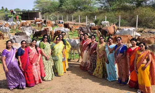 RKRC माहेश्वरी महिला संगठन ने किया पुरुषोत्तम मास में सेवा-साधना का अनूठा उदाहरण