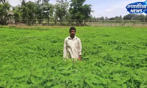आगामी खरीफ मौसम में हरी खाद के उपयोग से भूमि सुधार एवं उत्पादन वृद्धि की अपील