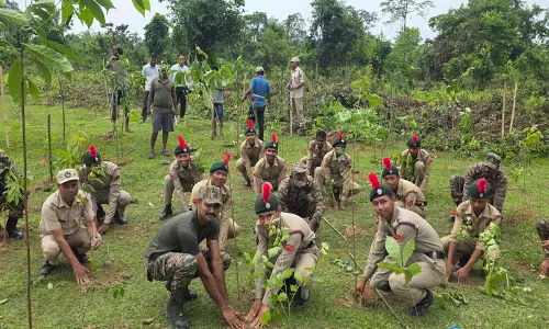 विश्व पर्यावरण दिवस से पहले ऊपरी Assam में 10,000 पौधों का रोपण, सेना और वन विभाग की संयुक्त पहल