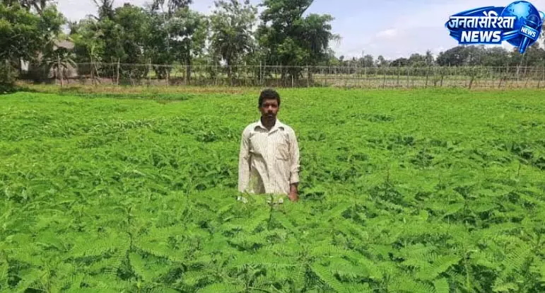 आगामी खरीफ मौसम में हरी खाद के उपयोग से भूमि सुधार एवं उत्पादन वृद्धि की अपील आगामी खरीफ मौसम में हरी खाद के उपयोग से भूमि सुधार एवं उत्पादन वृद्धि की अपील
