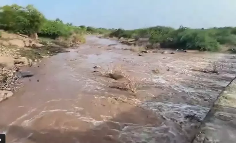 Andhra: दक्षिण-पश्चिमी मॉनसून शुरू होने से पहले पेन्नार नदी के बहने की दुर्लभ घटना