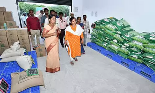 Tamil Nadu में दाल आत्मनिर्भरता योजना शुरू