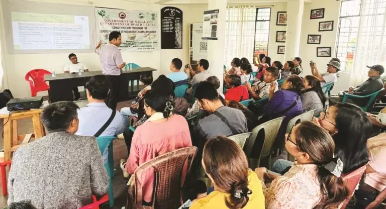 DIMAPUR: एक्सपोर्ट प्रमोशन पर CBP वोखा में हुई DIMAPUR: एक्सपोर्ट प्रमोशन पर CBP वोखा में हुई