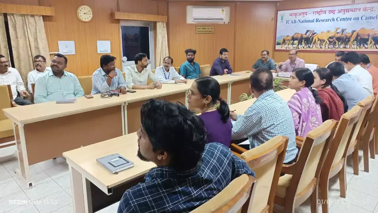 Bikaner: ऊंटनी के दूध में छिपी हैं स्वास्थ्य और आर्थिक समृद्धि की संभावनाएं