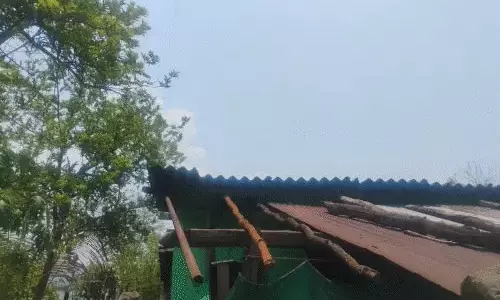 आसमानी गाज की चपेट में आई महिलाएं, 3 की मौत