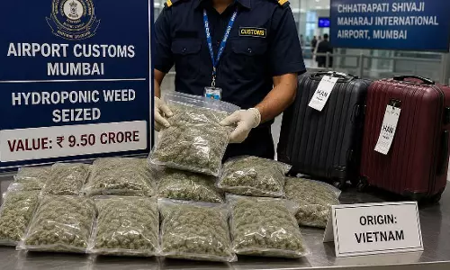 Mumbai : एयरपोर्ट पर वियतनाम से हाइड्रोपोनिक वीड तस्करी, 9.5 करोड़ की ज़ब्ती