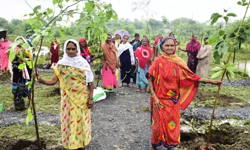 हरित विकास, जल संरक्षण और जनभागीदारी से पर्यावरणीय समृद्धि की ओर बढ़ता छत्तीसगढ़