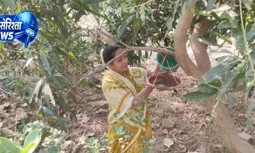 Sundargarh ग्रीन संगठन ने सात जिलों में पक्षियों के लिए 1,456 पानी के कटोरे लगाए