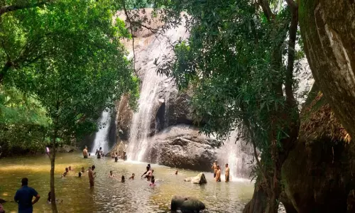 Thommankuthu हाथी सैंक्चुअरी में बेहतर सड़क सुविधा से टूरिस्टों को मिली राहत