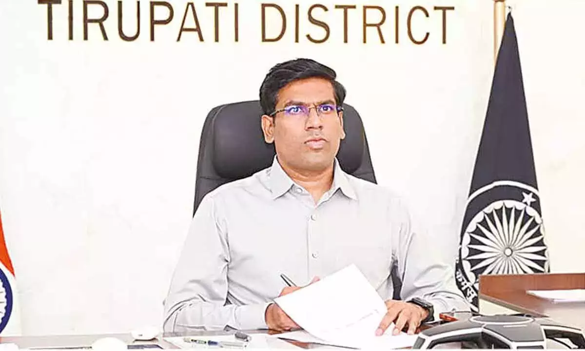 आम की कम पैदावार को लेकर चिंता करने की ज़रूरत नहीं, किसानों को सही दाम मिलेंगे: कलेक्टर