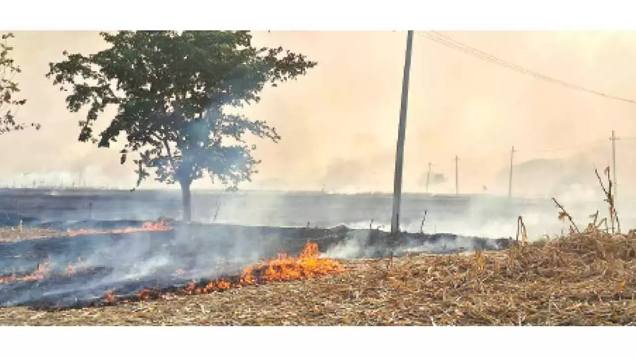 Telangana: पराली जलाने से मंचेरियल जिले में घुटन