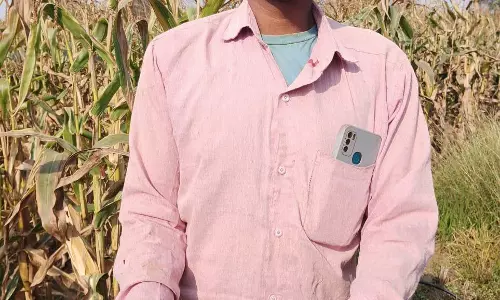 धान के बदले मक्का की खेती बनी फायदे का सौदा