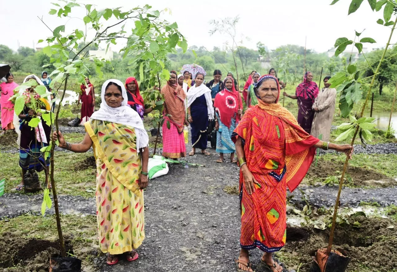 हरित विकास, जल संरक्षण और जनभागीदारी से पर्यावरणीय समृद्धि की ओर बढ़ता  छत्तीसगढ़ | Chhattisgarh moves towards environmental prosperity through  green development, water conservation and ...