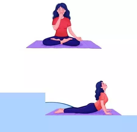 पीठ-कमर दर्द से राहत, तो शरीर की जकड़न दूर करने में कारगर ये योगासन, आयुष मंत्रालय की सलाह पीठ-कमर दर्द से राहत, तो शरीर की जकड़न दूर करने में कारगर ये योगासन, आयुष मंत्रालय की सलाह