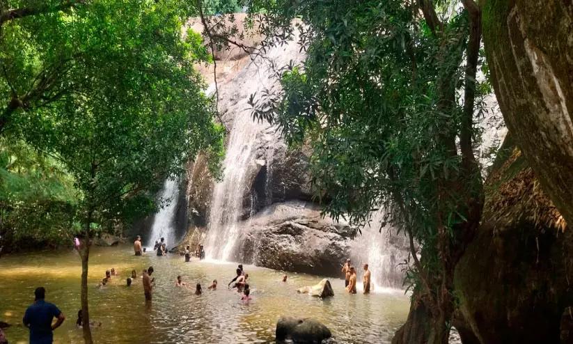Thommankuthu हाथी सैंक्चुअरी में बेहतर सड़क सुविधा से टूरिस्टों को मिली राहत Thommankuthu हाथी सैंक्चुअरी में बेहतर सड़क सुविधा से टूरिस्टों को मिली राहत