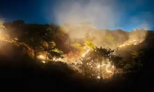 Dehradun: वनाग्नि नियंत्रण को नई तकनीक का सहारा, त्वरित अलर्ट व्यवस्था शुरू