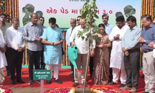 विश्व पर्यावरण दिवस पर गुजरात में वृक्षारोपण का संदेश