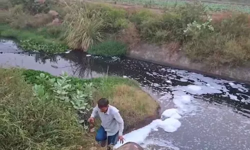 Sonipat में नाले को गंदा करने के लिए 36 यूनिट पर कार्रवाई