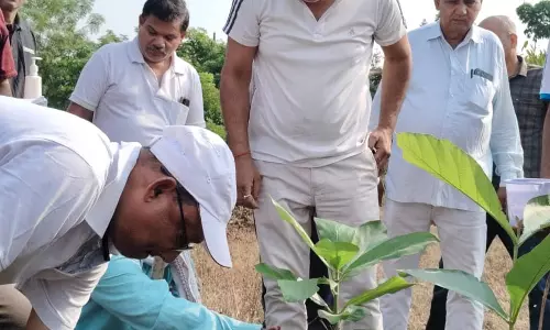 विश्व पर्यावरण दिवस के अवसर पर रायपुर रेल मंडल में वृक्षारोपण