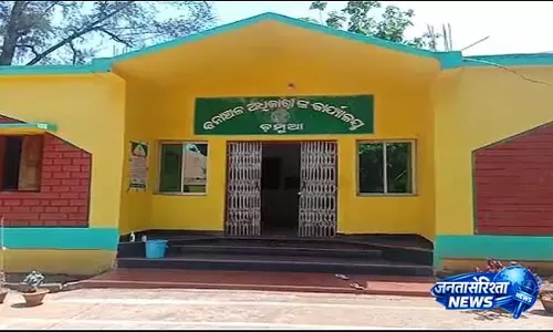 Keonjhar ज़िले में इंसान और हाथी के टकराव में एक युवक की हालत गंभीर