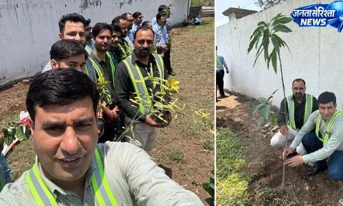 किंग्सपैन जिंदल नालागढ़ में विश्व पर्यावरण दिवस पर 50 कर्मचारियों ने रोपी हरियाली