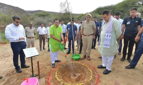Jaipur: मुख्यमंत्री भजनलाल शर्मा ने पौधारोपण कर दिया पर्यावरण संरक्षण का संदेश