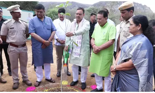 राजस्थान के CM भजनलाल शर्मा ने वृक्षारोपण अभियान एक पेड़ माँ के नाम में भाग लिया