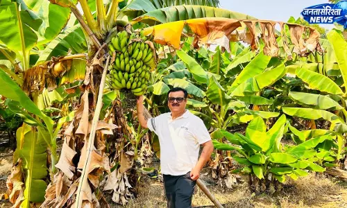आधुनिक खेती से सफलता की नई इबारत लिख रहे किसान भरत