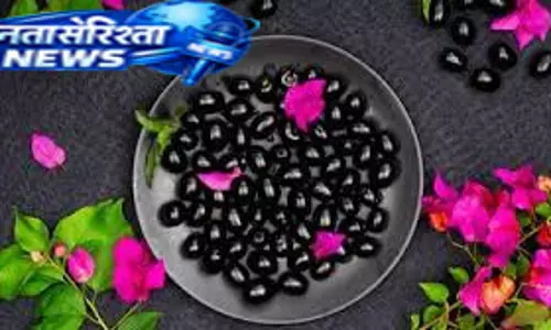 खट्टे-मीठे जामुन में छिपे हैं सेहत के कई फायदे